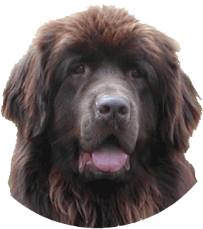 Monty