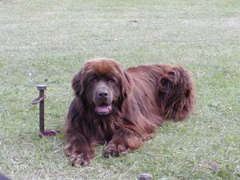 Monty Picture 4