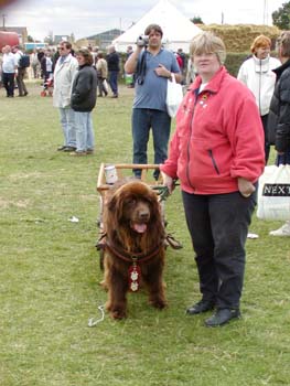 Monty Picture 6