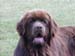 Monty Picture 2