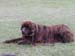 Monty Picture 3