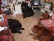 Piglet Picture 10