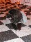 Piglet Picture 23